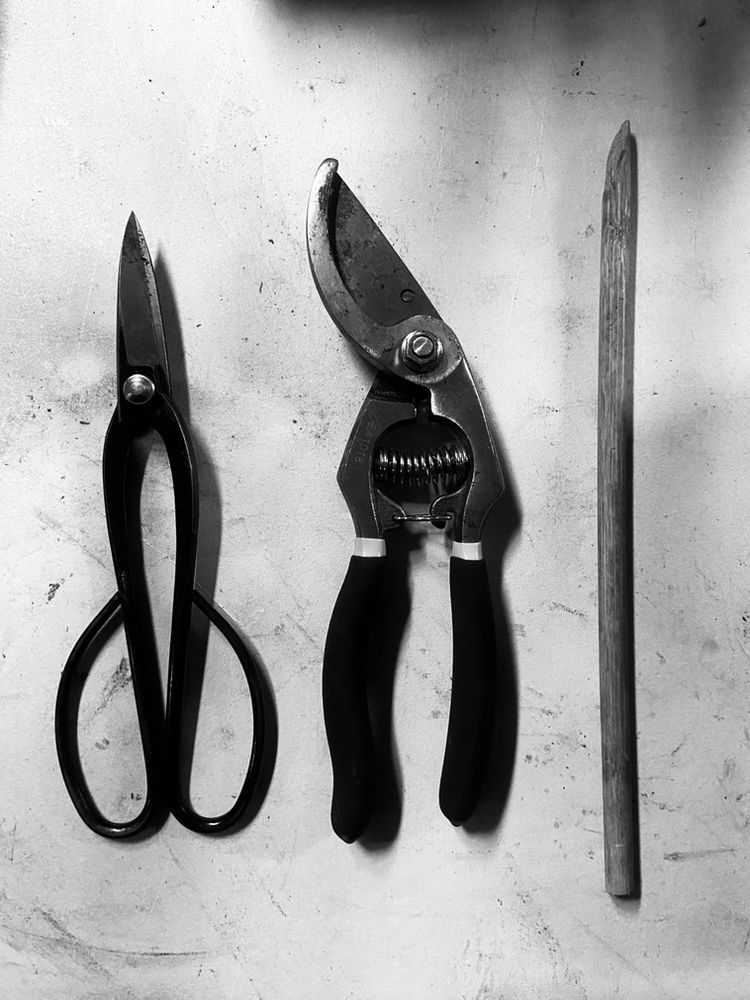 Bonsai Tools Part 1