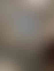 Biz Suze, Ian's legendary Dwarf Alberta Spruce bonsai.