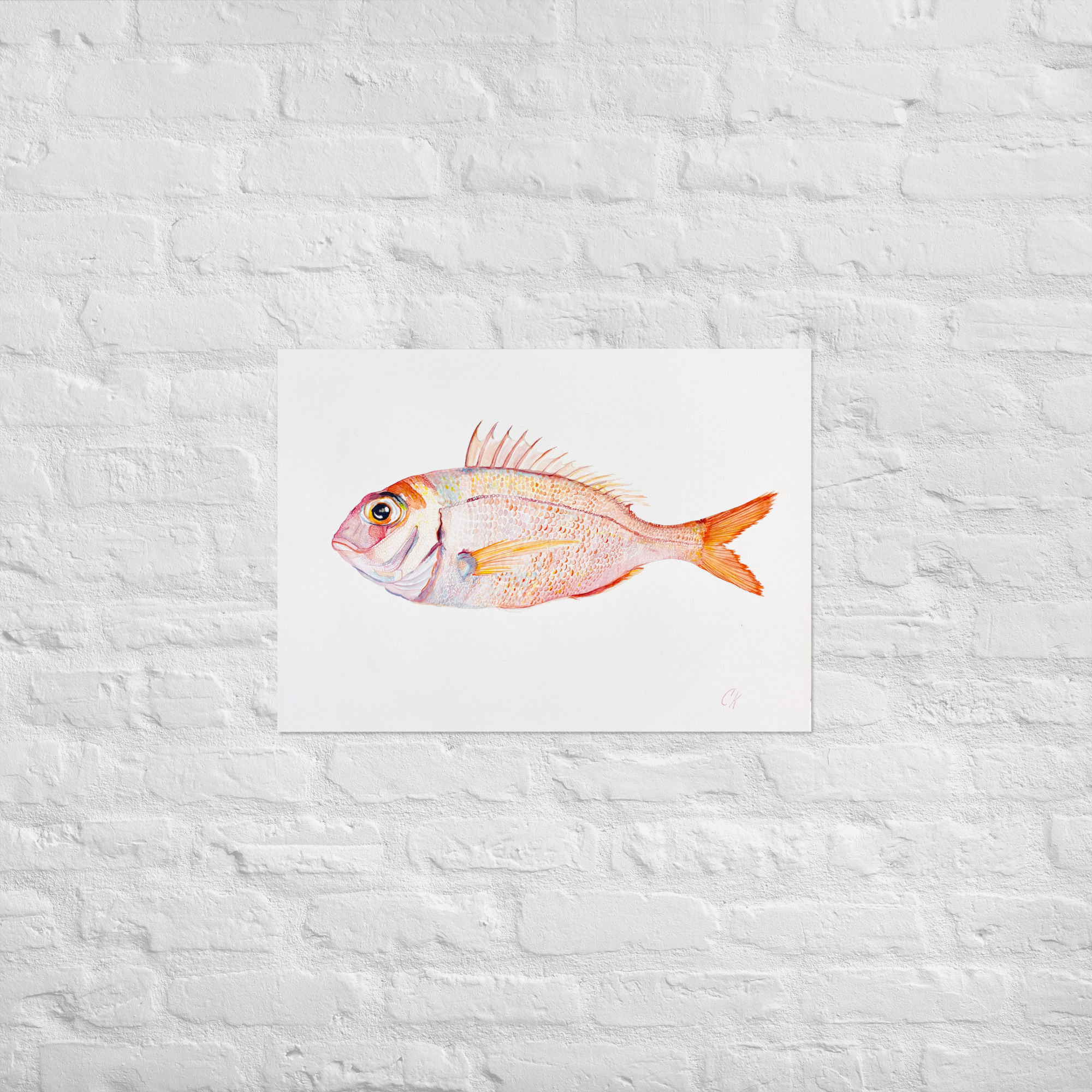 Fish of Hermaphroditus Print