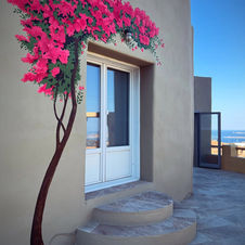 Bougainvillea mural in Paros island by Cecelia Lee