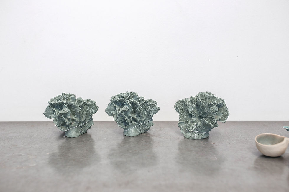 Vila 211 Julho 2019-51.jpg