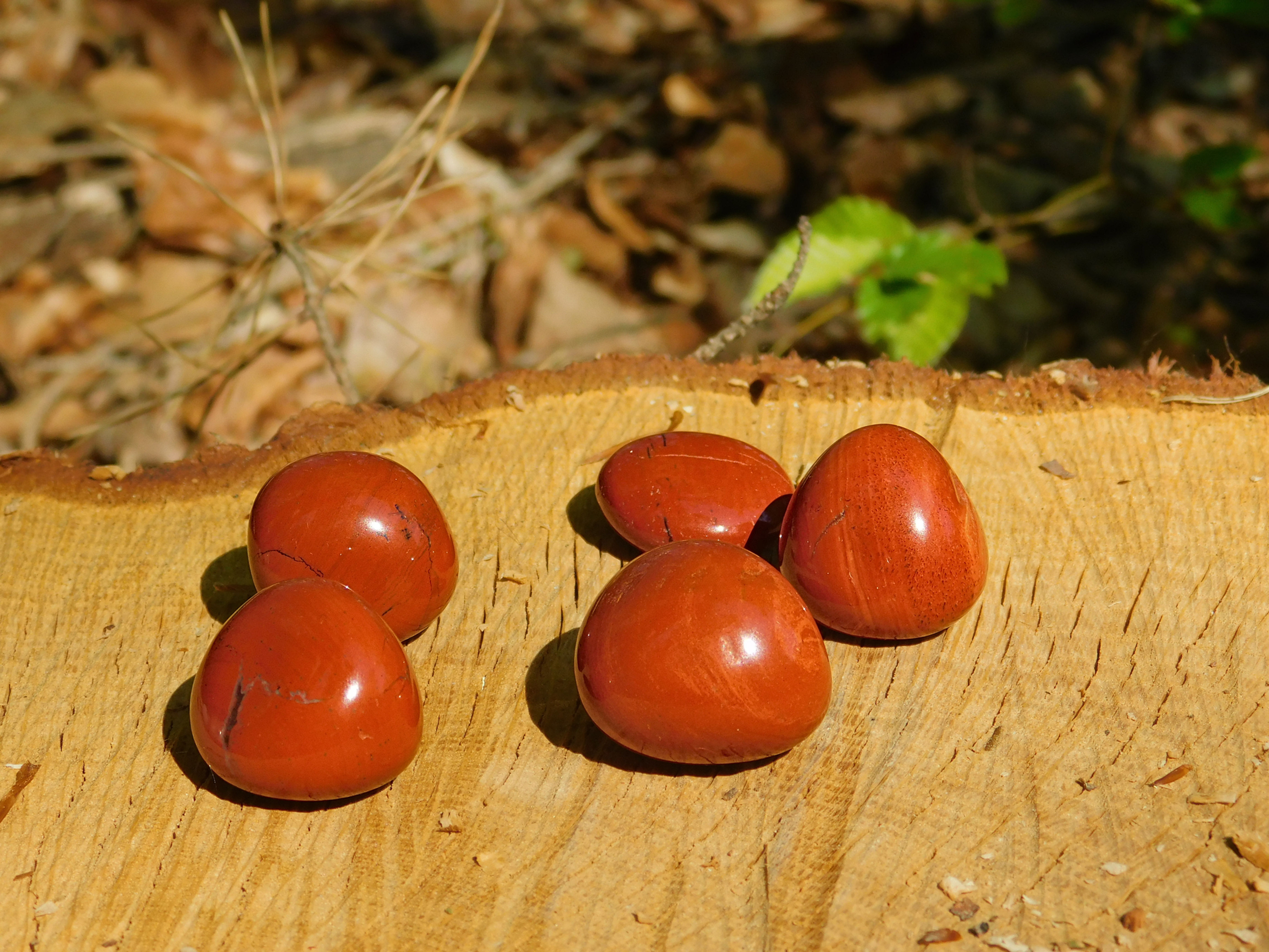 Roter Jaspis Trommelstein