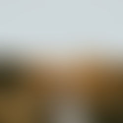 Tiffany & Alex: Family Home Wedding