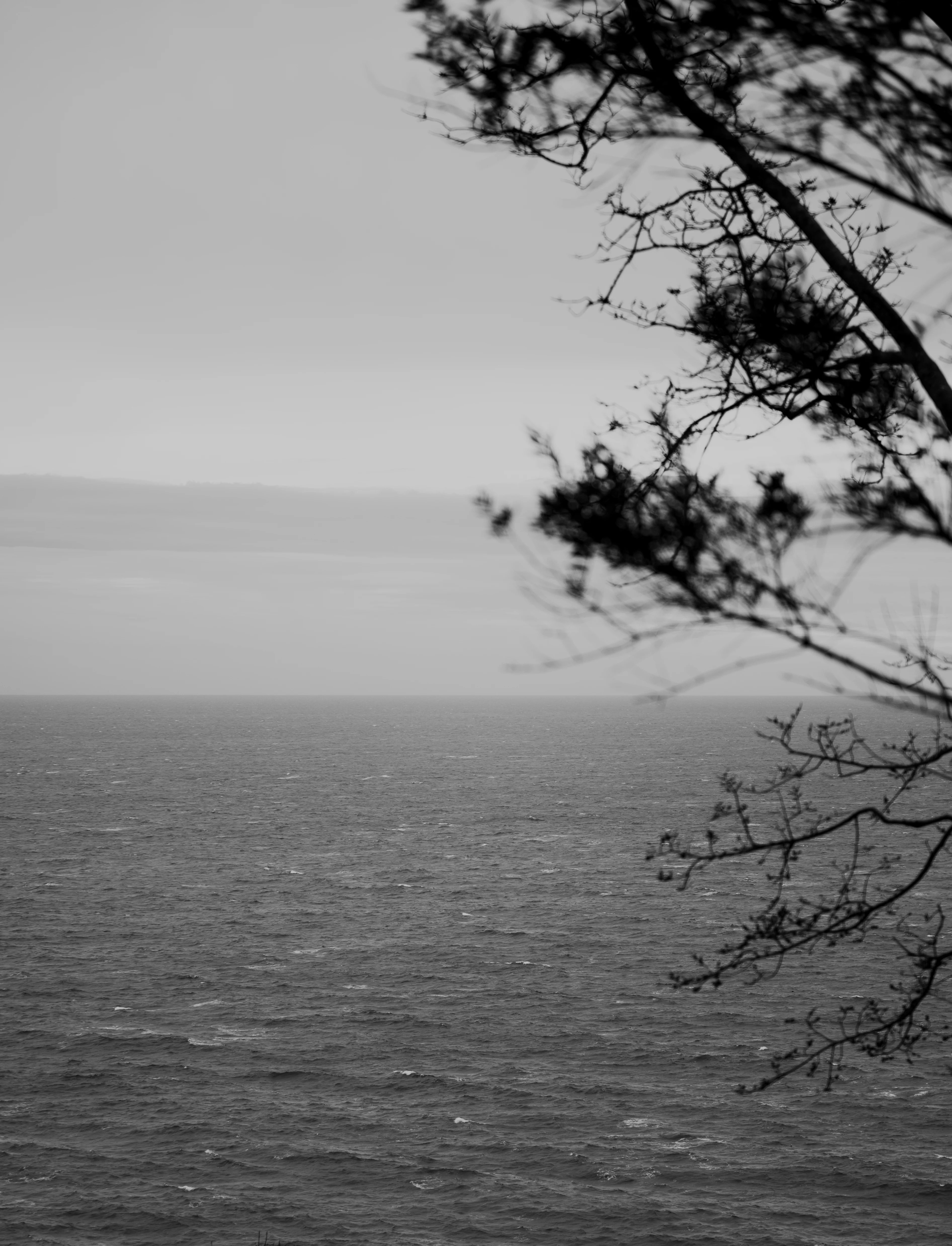 Pennsylvania Castle sea view, Dorset, Uk