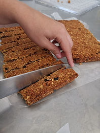 WhatsApp Image 2019-11-07 at 5.12.15 PM.