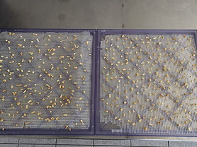 WhatsApp Image 2019-11-07 at 5.11.53 PM.