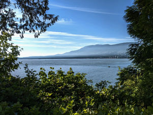 image_6483441 (2).JPG