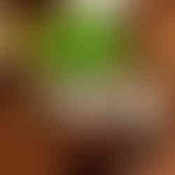 Mint Tea, Mirleft, Morocco