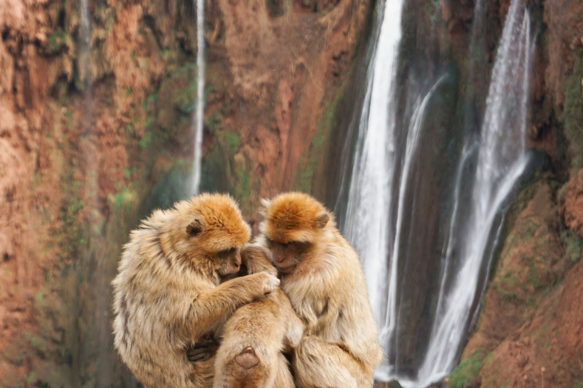 Ouzoud Waterfalls, Best Things to do in Marrakech