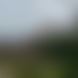 Free things to do in Barcelona Spain, Montjuic