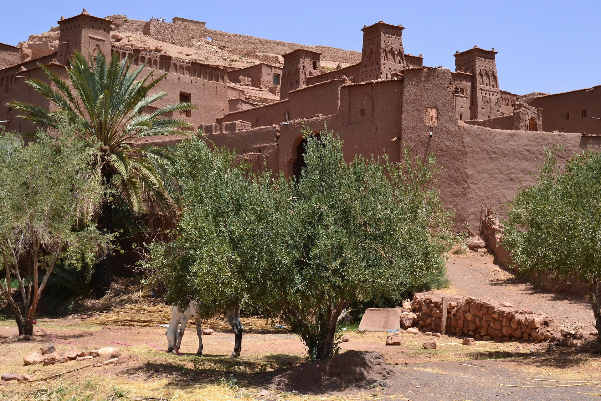 Sahara Desert, Best Things to do in Marrakech