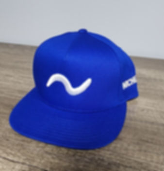 Niche No.9 Logo Snapback Hat