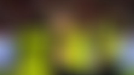 Existe una oferta de 3,2 millones de dólares por el 70 % del pase de Byron Castillo, dice Alfaro