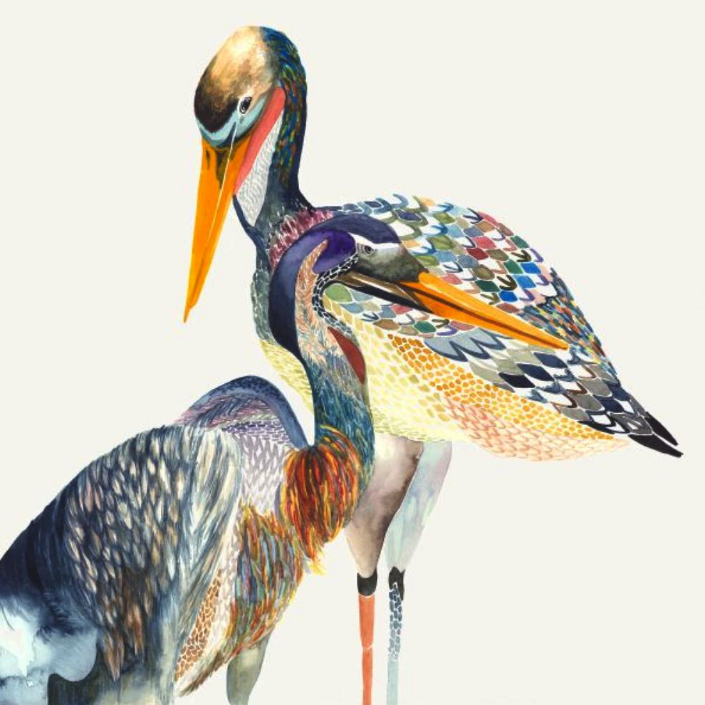 TWO BEAKS