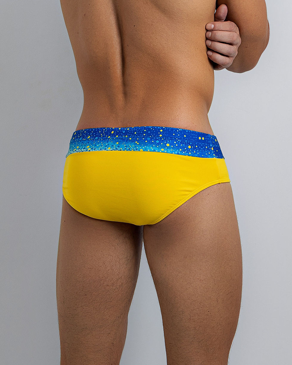 Thumbnail: CLASSIC SWIM BRIEF SOLARIS