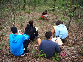 atelier dessin forêt lycée lavaur