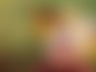 Ideas For Making Sure Your Family Photo's Aren't A Sh*t Show.