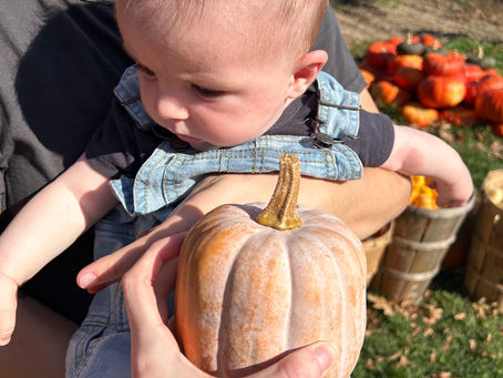 Home Decorating For Busy Moms' - Tips & Ideas