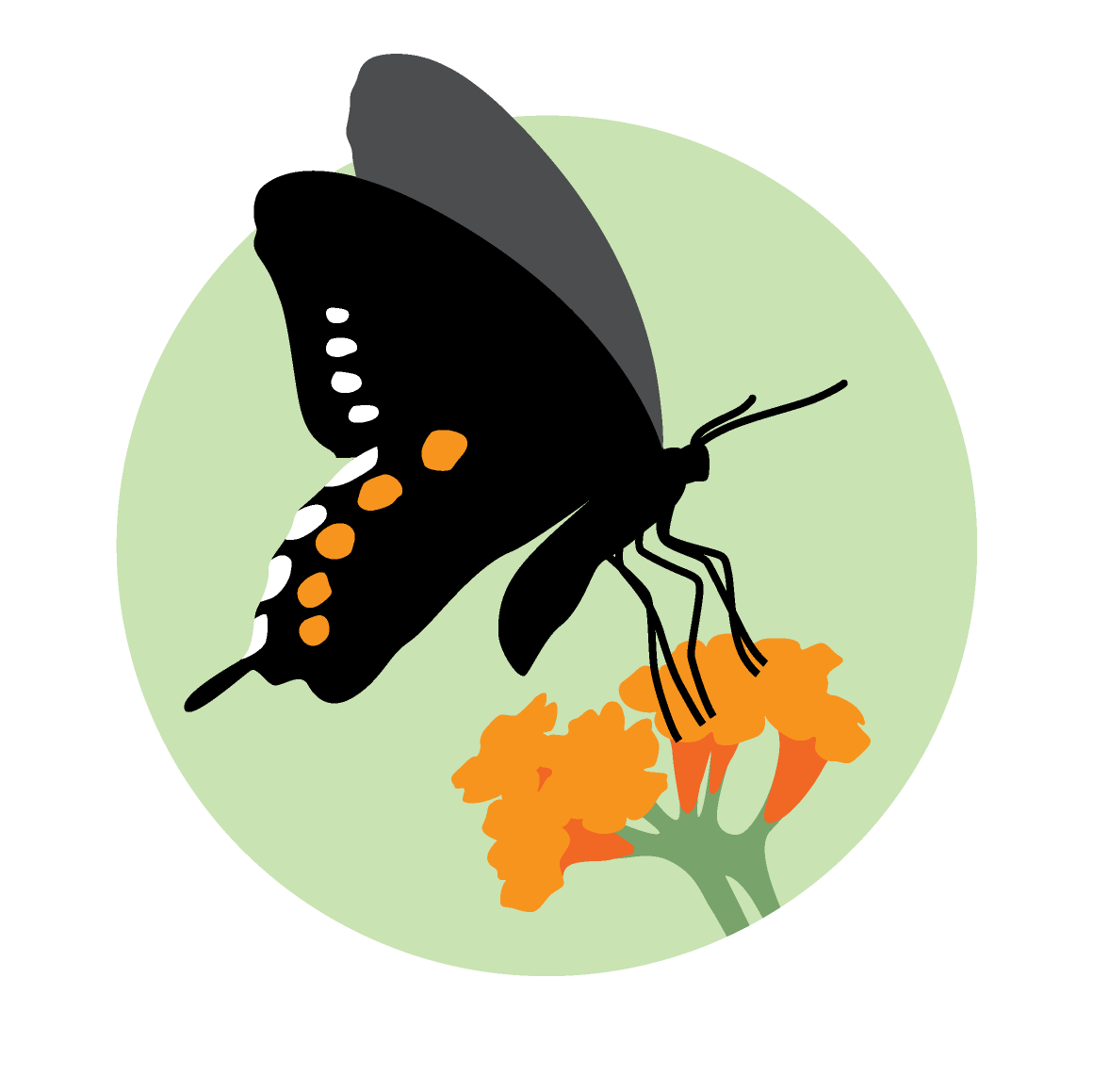 Borderlands Restoration Network logo