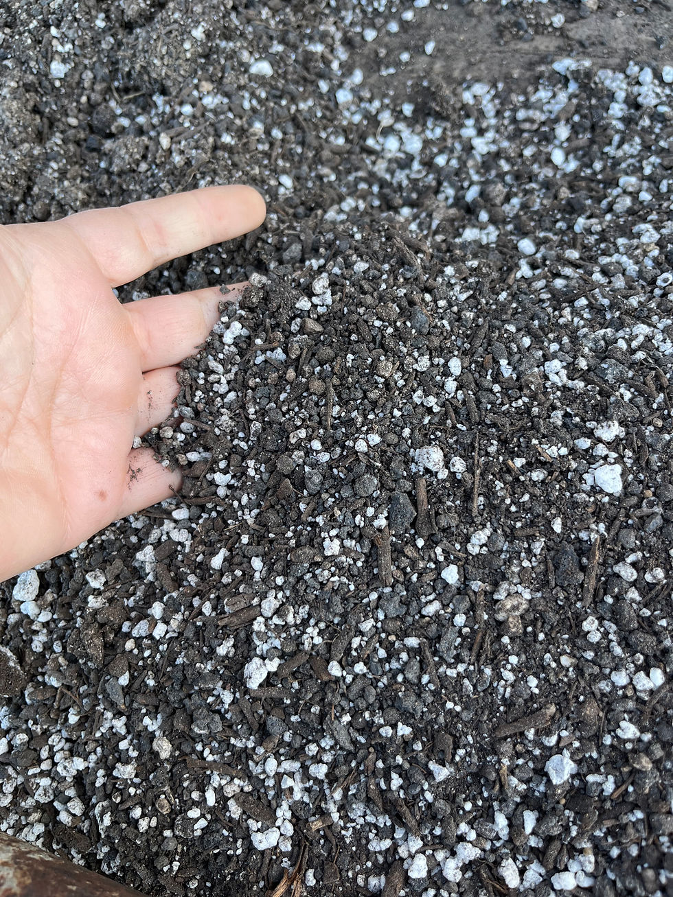 Thumbnail: Potting Soil