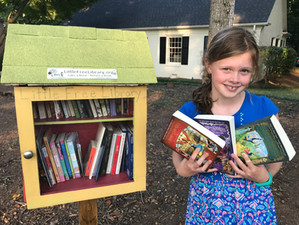 My Junior Partner Ella Biber Reviews: The Mr. Terupt Book Series