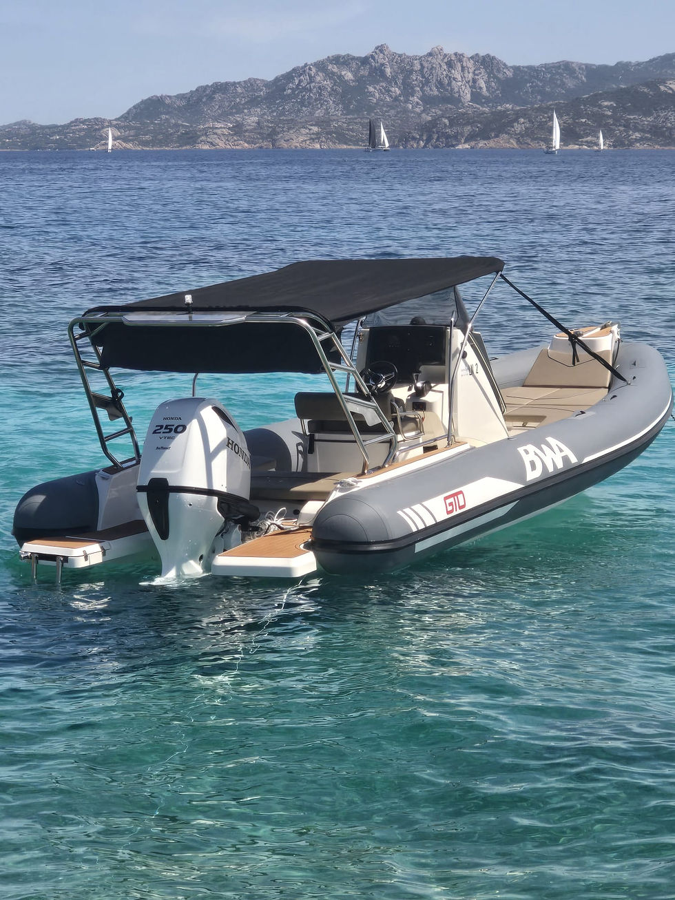 Noleggio gommone con skipper