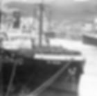 Le Rhin