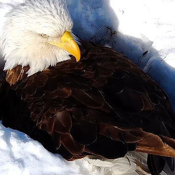 Screenshot 2025-03-20 at 9.23_edited.jpg