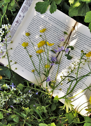 Iowa Natives (2).png