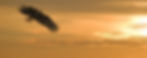 Screenshot 2025-04-15 at 11.44_edited.jpg