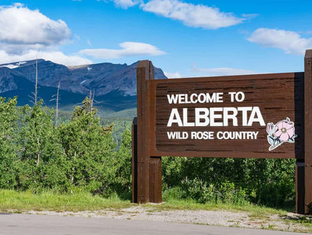 Registry Office Services for New Immigrants: Your Guide to Settling in Alberta