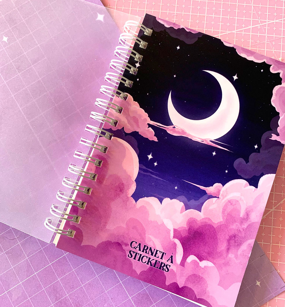 Miniature : Carnet à stickers A6 - Moon