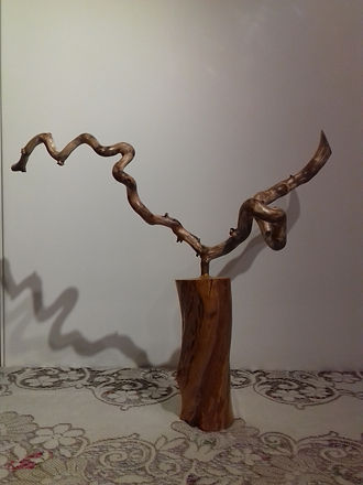 20190323_224923.jpg