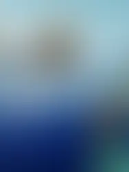 Exploring Global Opportunities at the Australia and Canada University Fair for High School Students