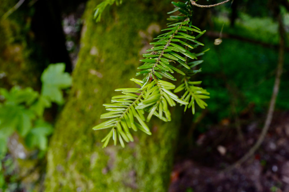 L1001495.JPG