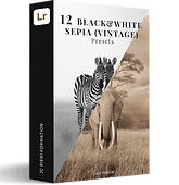 Boite 12 Black&White Sepia Presets JC Pieri 2025