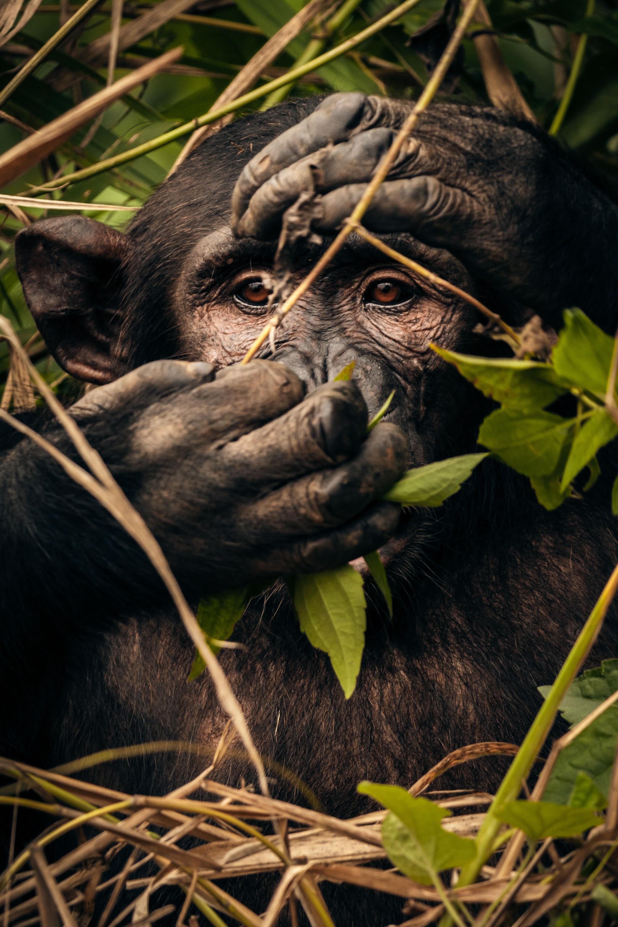 Portrait de Chance - Cameroun