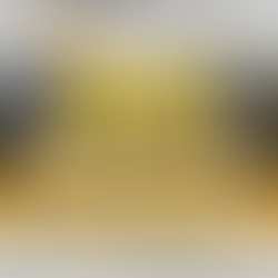 昇竜門ジュニア全九州