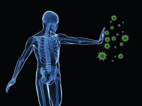 Build your immunity with Chiropractic