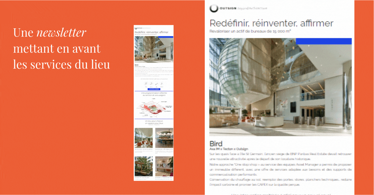 Bird-newsletter.gif