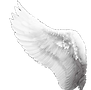 Voyance Aurore | Books and spells | Astrovoyance | voyance Bretagne | Voyance Rennes