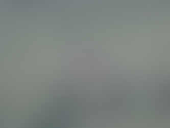 Captan pelea entre un rinoceronte y un búfalo y se vuelve viral: Video