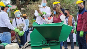 No tires tu arbolito de Navidad, ¡recíclalo!