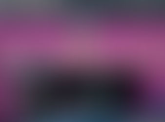 INE solicita al IMPI registro de marca y logotipo