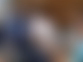 Se llevan hasta las sillas de los Palacios Municipales