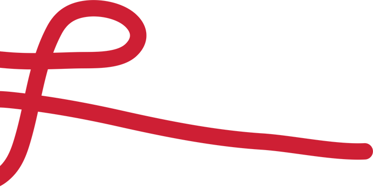 Vector 31 (Stroke).png