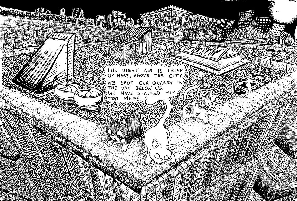 Thumbnail: Cat Scratch #1