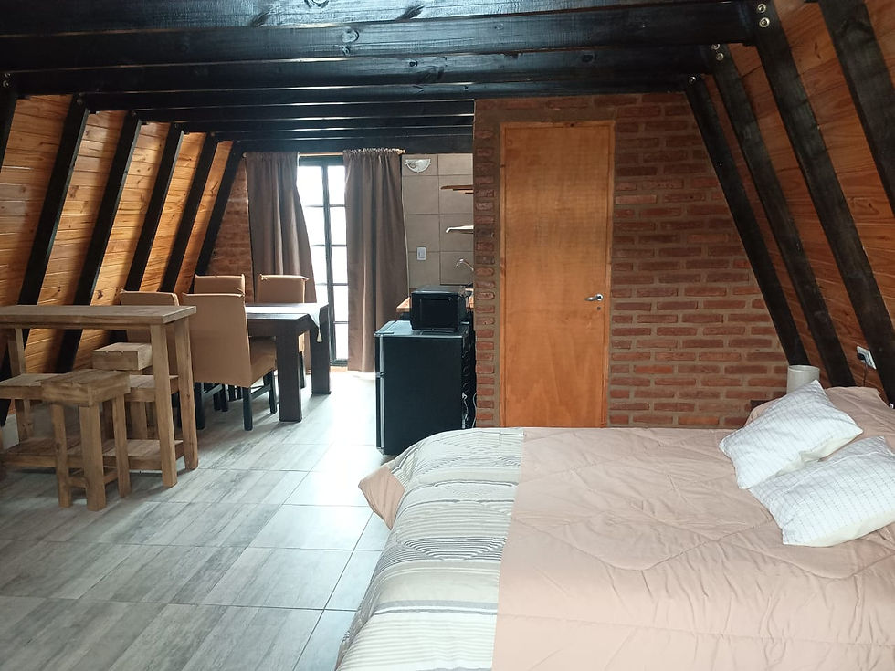 NUEVA CABAÑA DE ARANTZA (11)