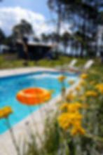 WhatsApp Image 2026-01-08 at 9.58.25 AM