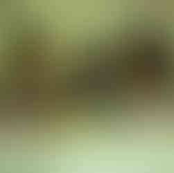 Comensales participando en una experiencia gastronómica inmersiva con elementos visuales y tecnología en Cartagena.